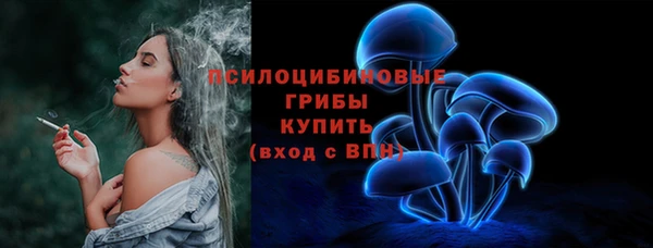 молекула духа Ельня