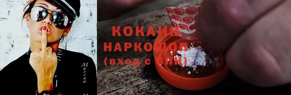 ГАЛЛЮЦИНОГЕННЫЕ ГРИБЫ Дмитриев