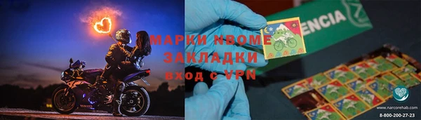 ГАЛЛЮЦИНОГЕННЫЕ ГРИБЫ Дмитриев