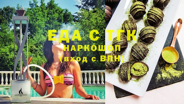 ГАЛЛЮЦИНОГЕННЫЕ ГРИБЫ Дмитриев