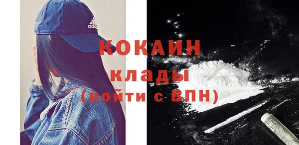 молекула духа Ельня