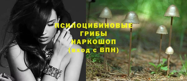 PSILOCYBIN Елизово