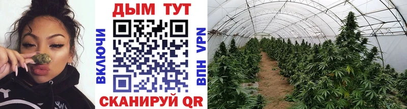 наркошоп  Вельск  Шишки марихуана Ganja 